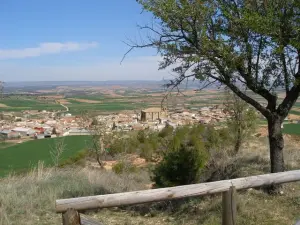 Canalejas del Arroyo